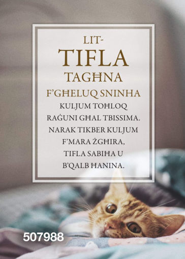 Picture of LIT-TIFLA TAGHNA FGHELUQ SNINHA KARTOLINA